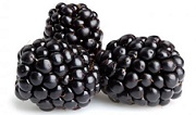 blackberry
