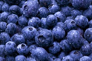 blueberry