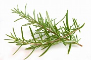 rosemary